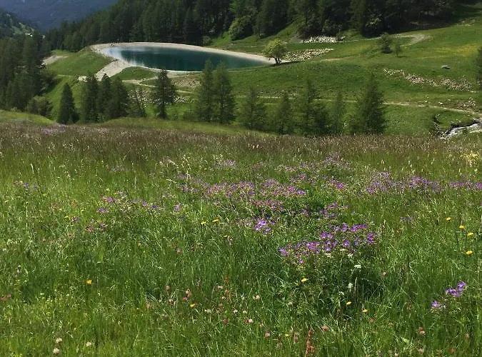 Studio Montagne