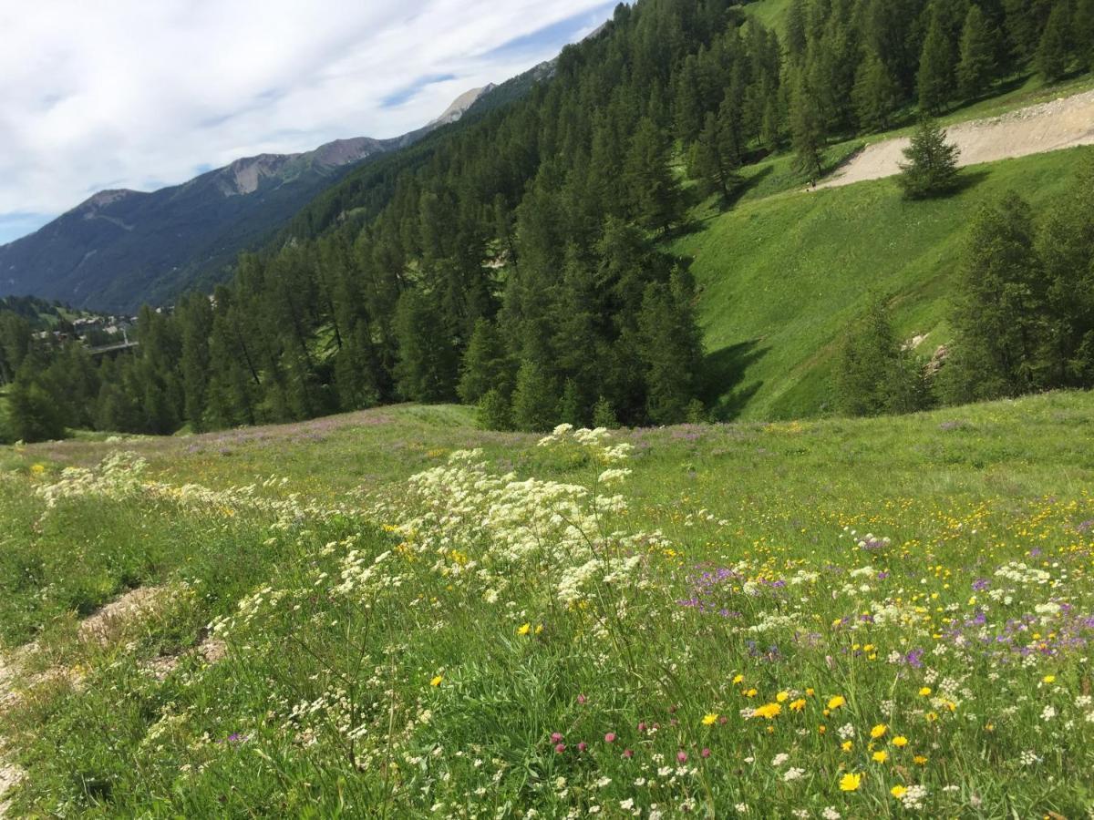 Montagne Allos